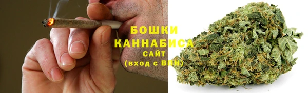 ECSTASY Гусев