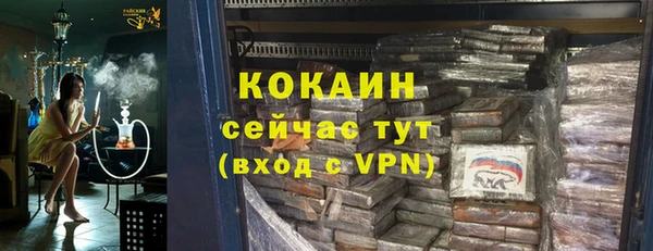 ECSTASY Гусев