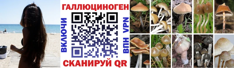 Купить где  Рыльск  Псилоцибиновые грибы ЛСД 