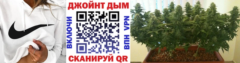 Шишки марихуана VHQ Рыльск